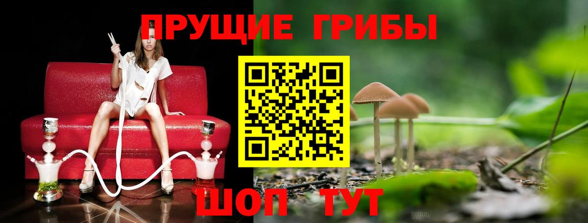 Лысьва  Псилоцибиновые грибы Psilocybe  Вход с VPN 